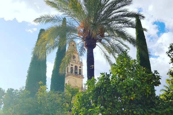 Cordoba 4 Cordoba 4