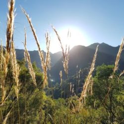 Sierra de las Nieves NATURE