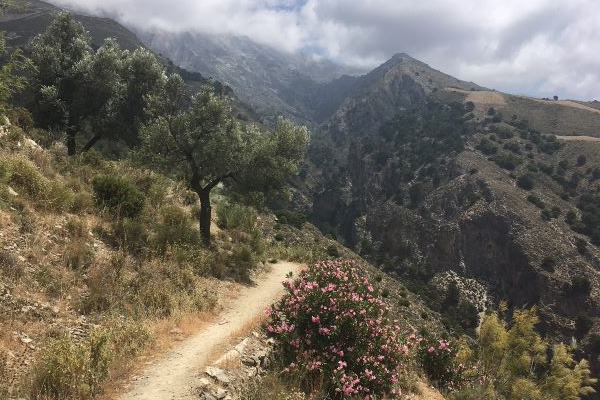 El Santilla Axarquía El Santilla Axarquía